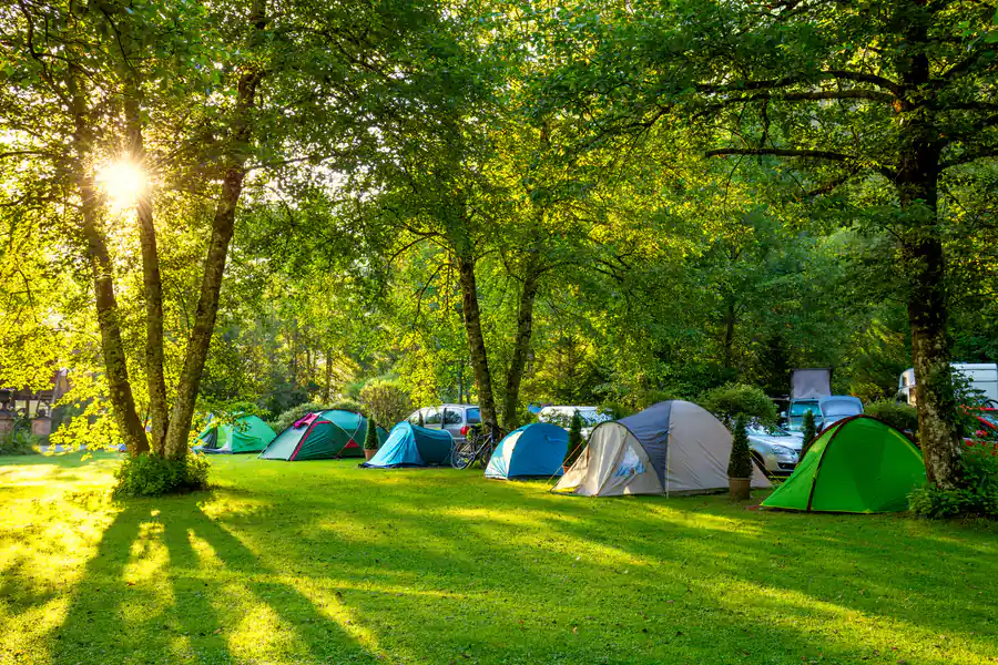 Camping with tents on the open pitches at Chertsey Caravan Park